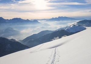 智慧营销信息化平台网址