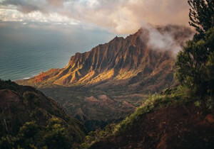 自媒体商机转化教程